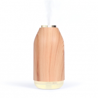 Visuel - DIFFUSEUR D'HUILES ESSENTIELLES